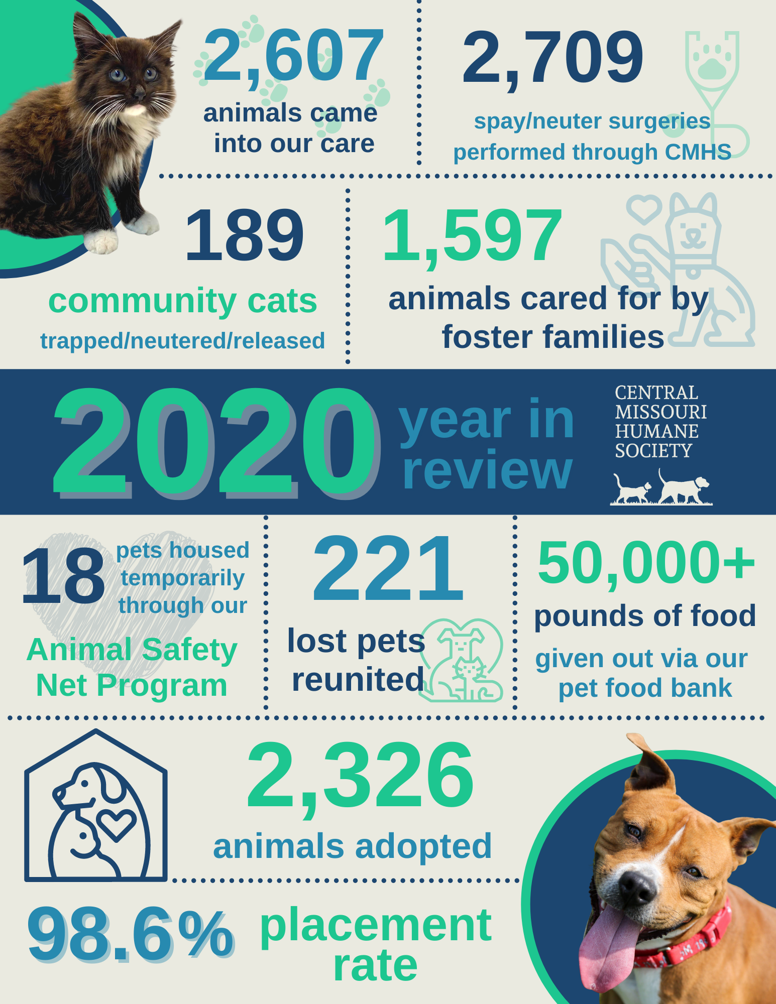 2020 infographic