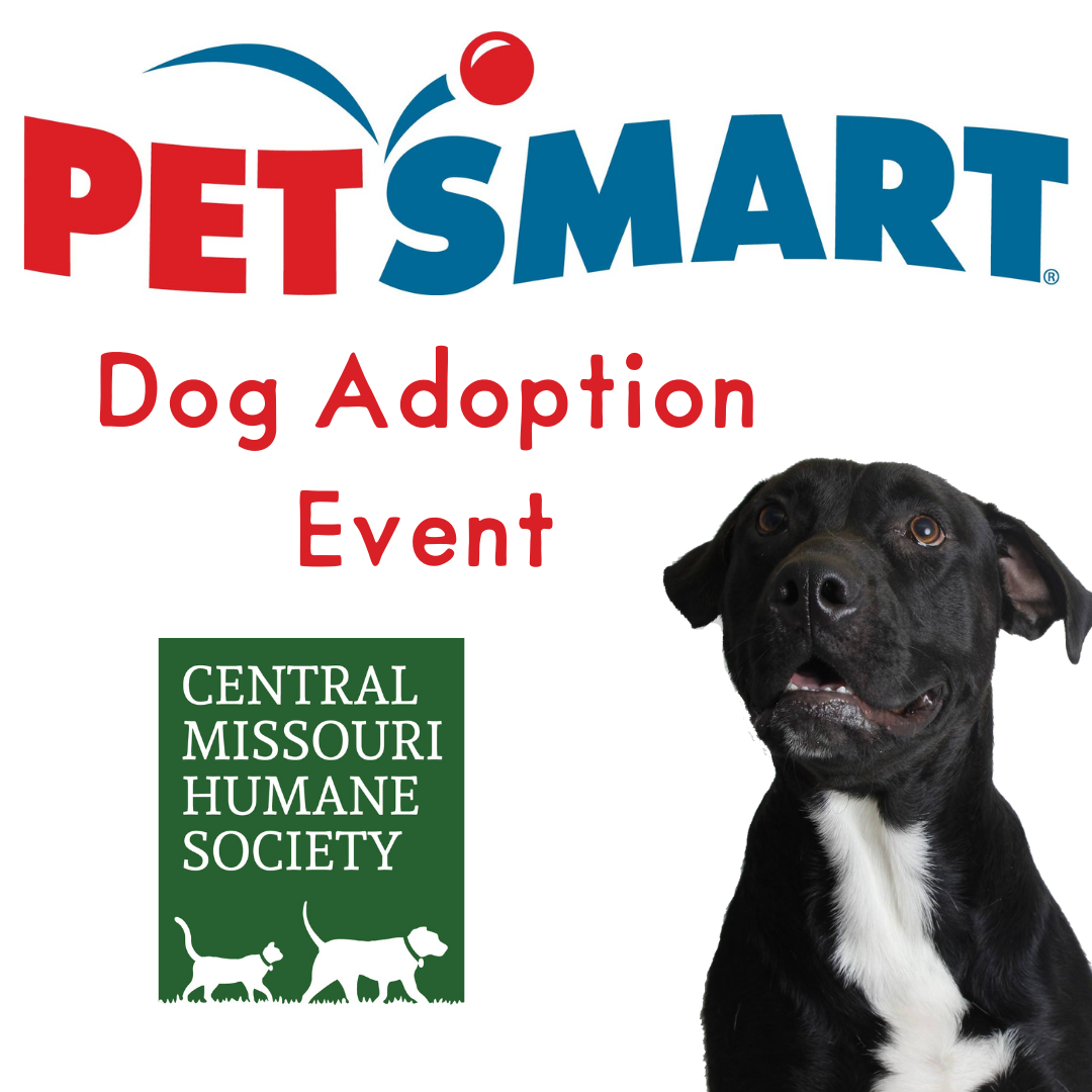 Copy of PetSmart Clear the shelters