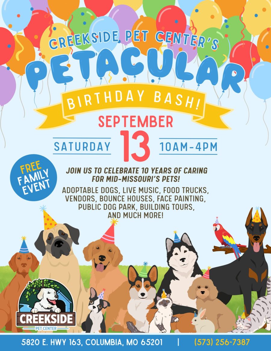 Dogs surrounded by balloon with a sign for Creekside's birthday bash