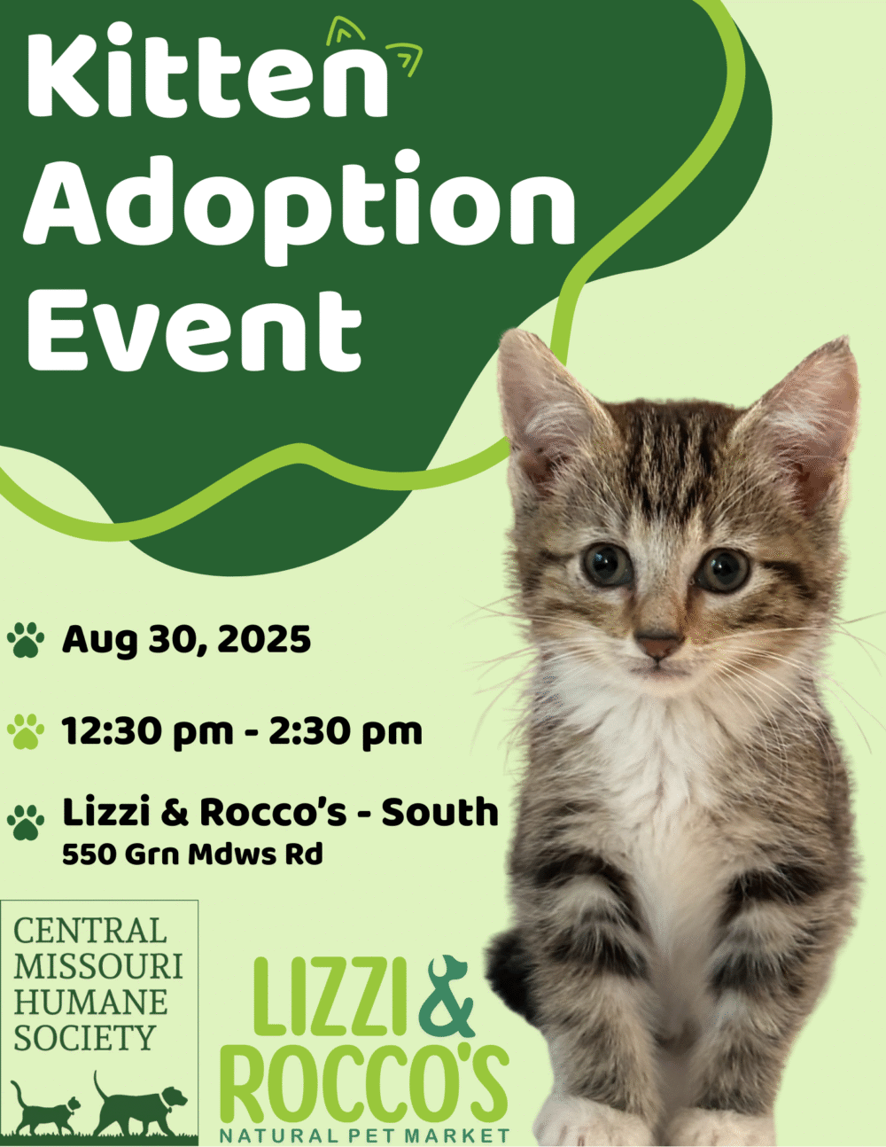kittenL_R Kitten with cmhs and lizzi and rocco logos
