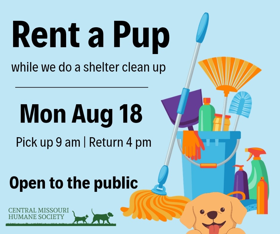 Rent a pup flyer with dog and cleaning supplies