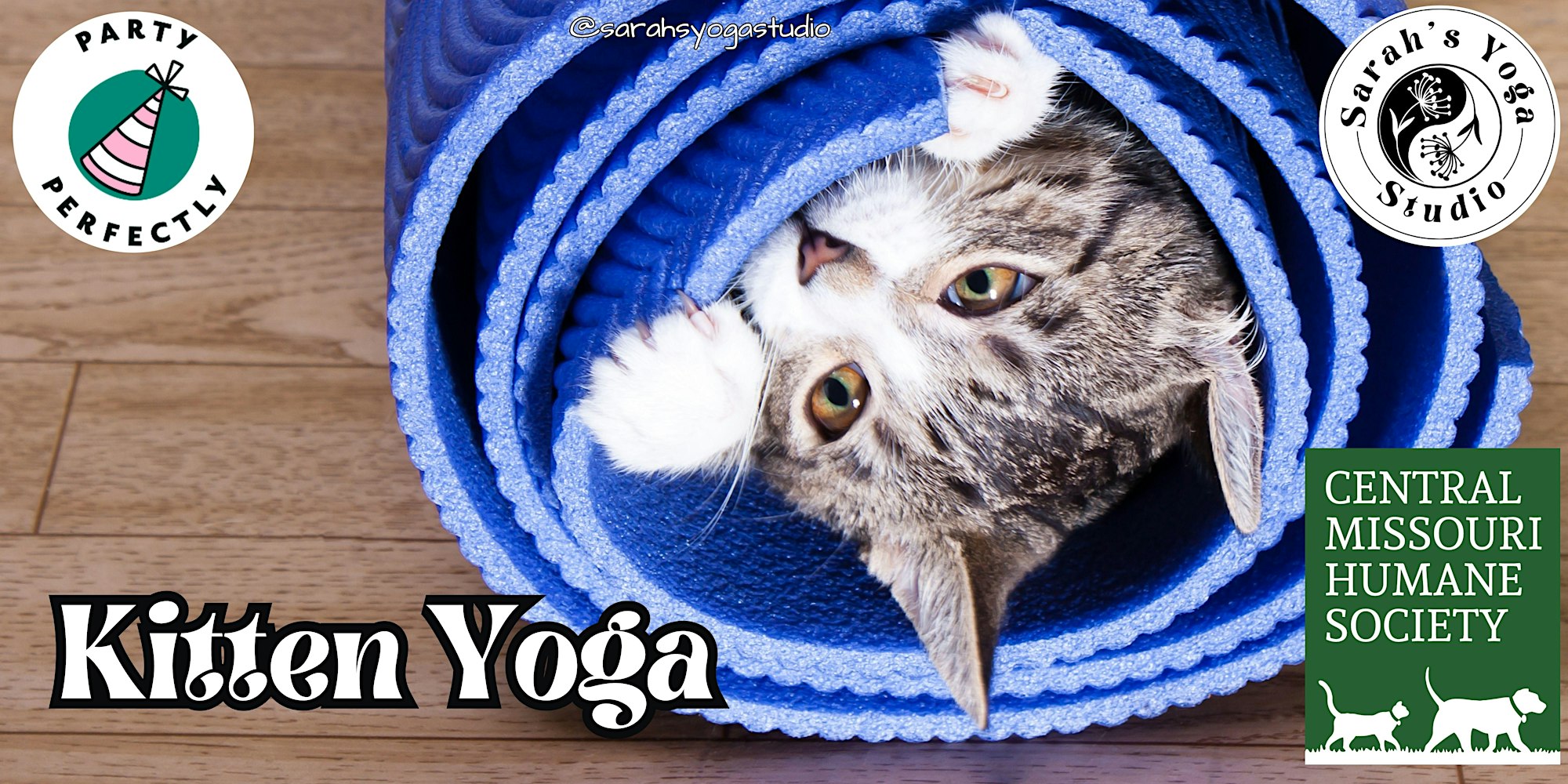 yoga kitten in a yoga mat