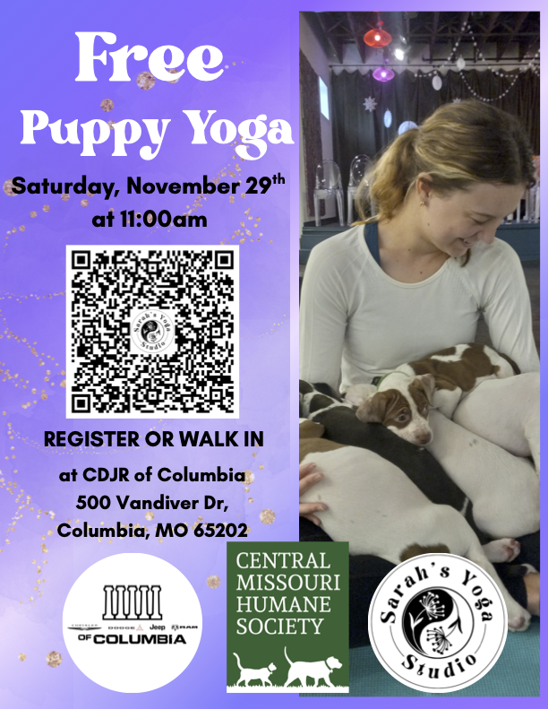 Woman holding puppy while doing yoga