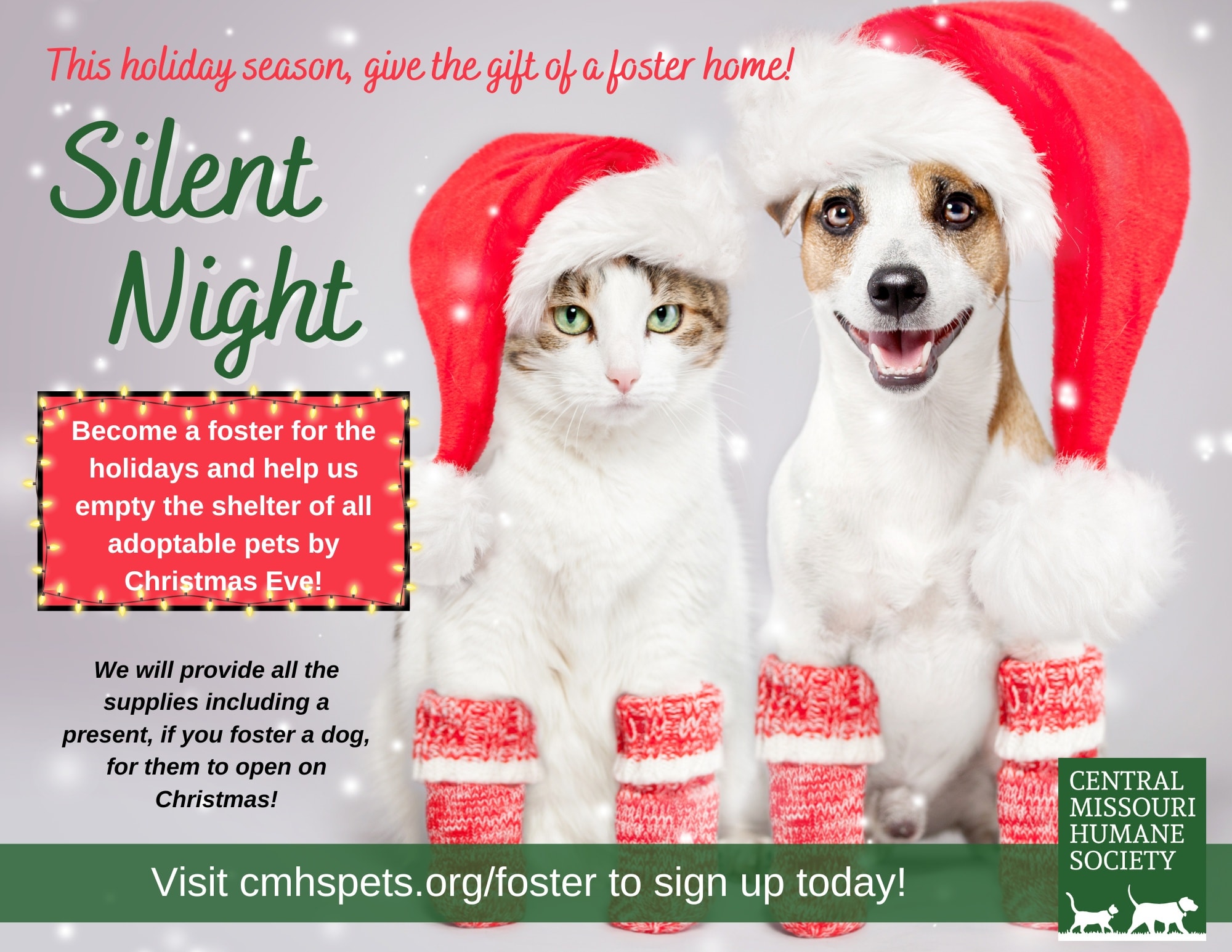 Dog and cat dressed as elves