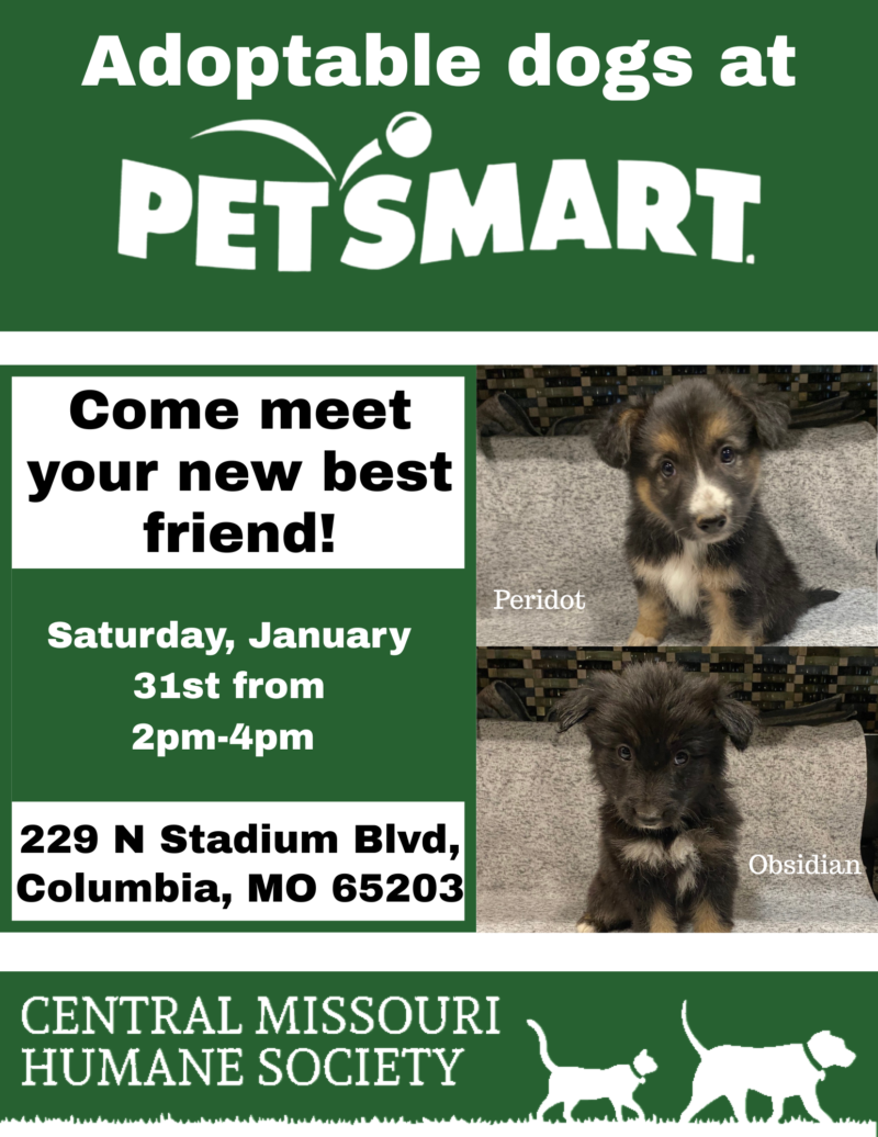 puppies and petsmart logo