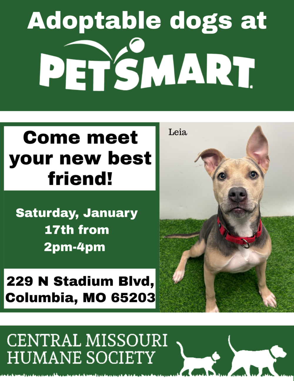 shelter dog with event details