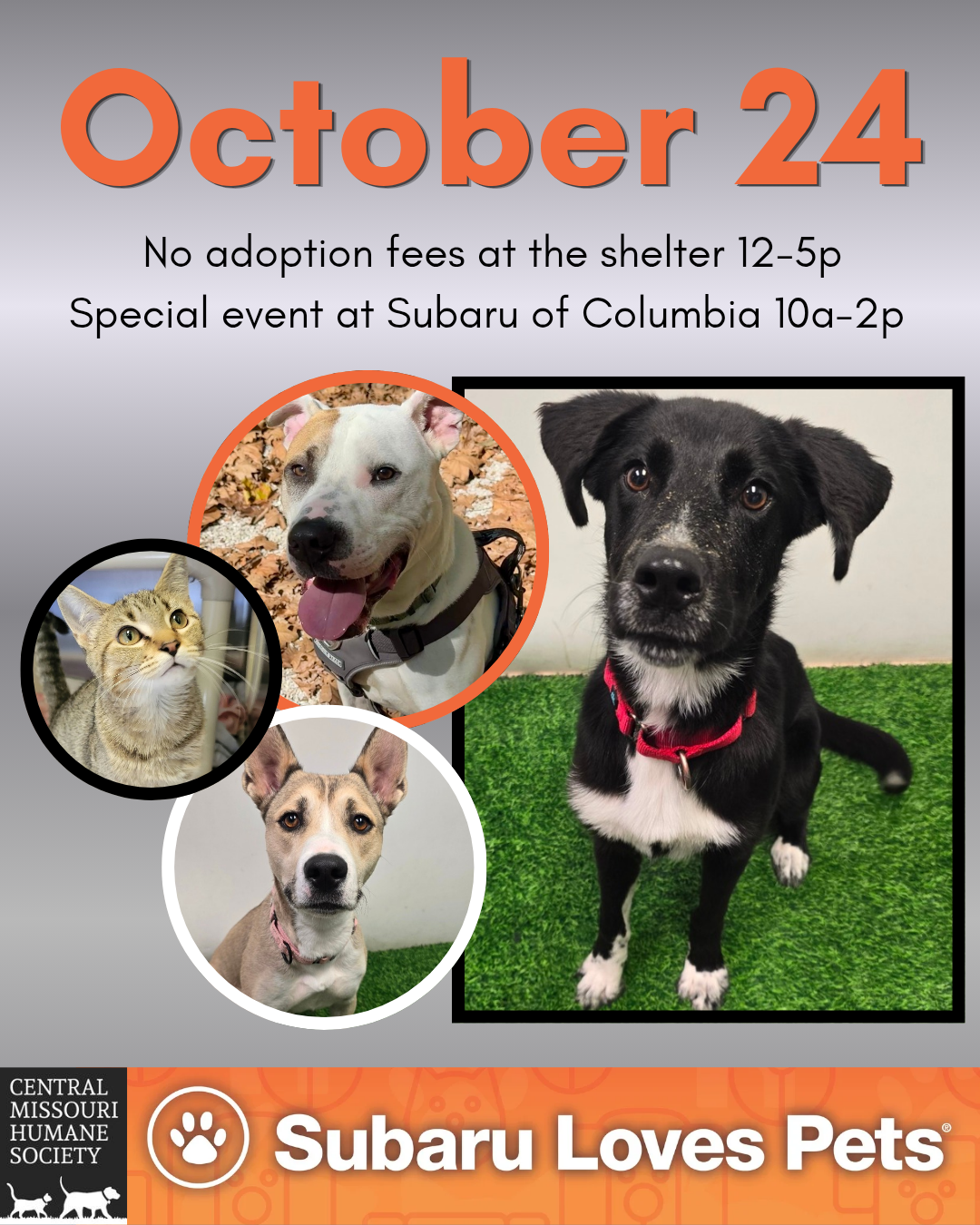 flyer with event info